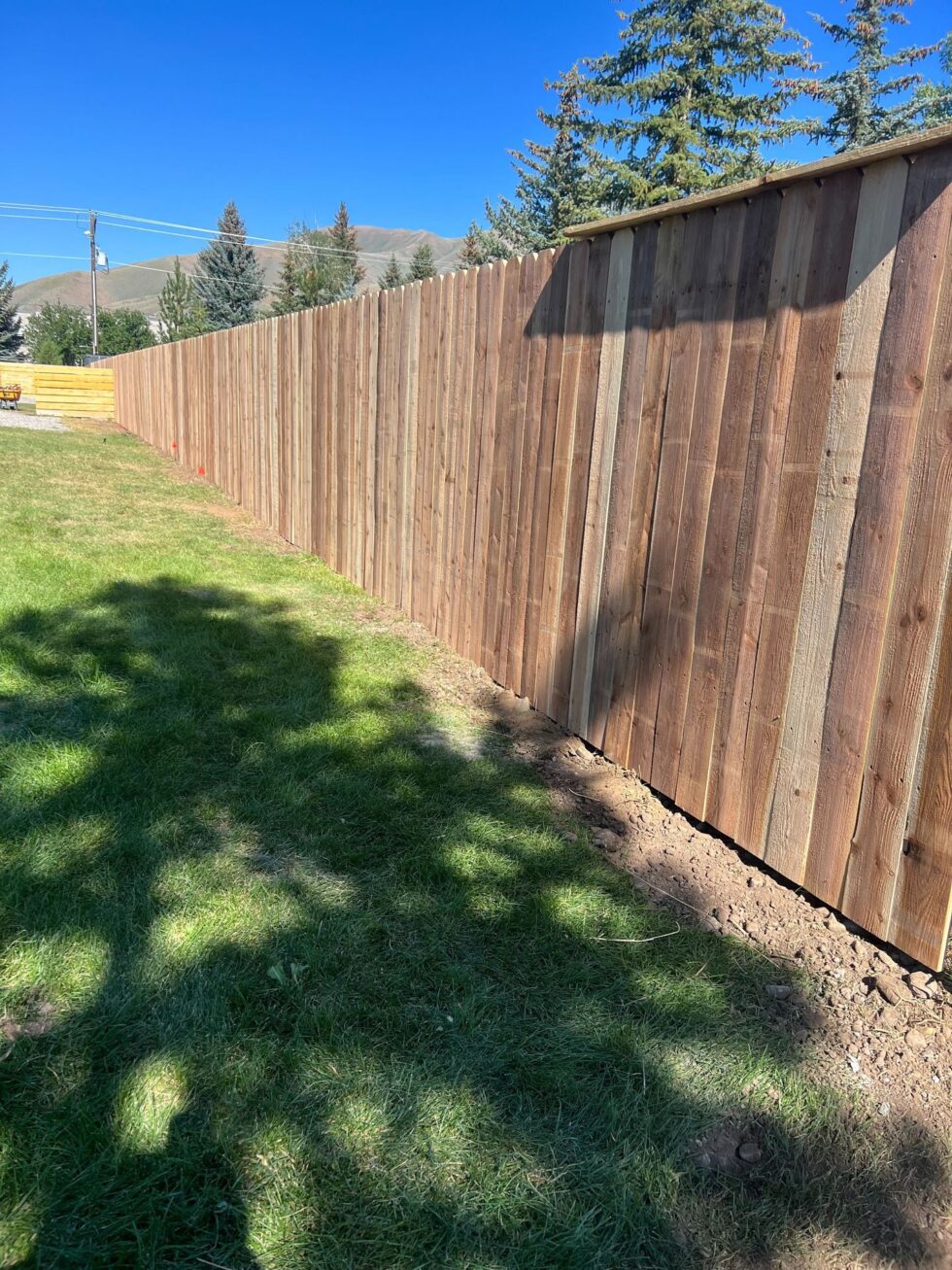 Making the Right Choice 5 Questions to Ask When Choosing a Ketchum