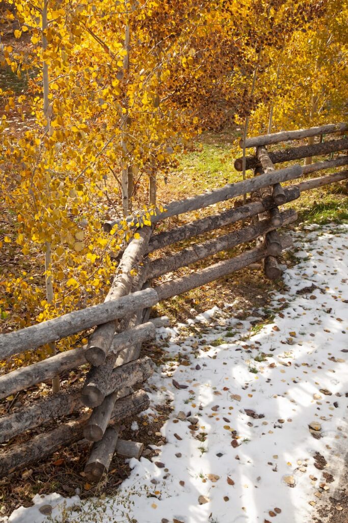 Fence Company Ketchum SWP WHJAD 37